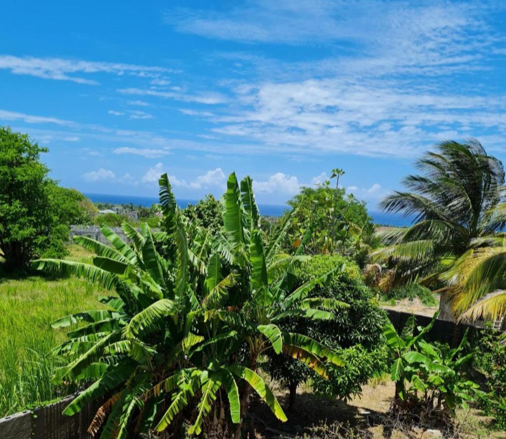 Tropical Paradise Sea View Villa In Ocho Rios Priory Екстериор снимка